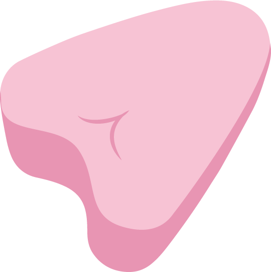 Menstruační houbičky (tampony)
