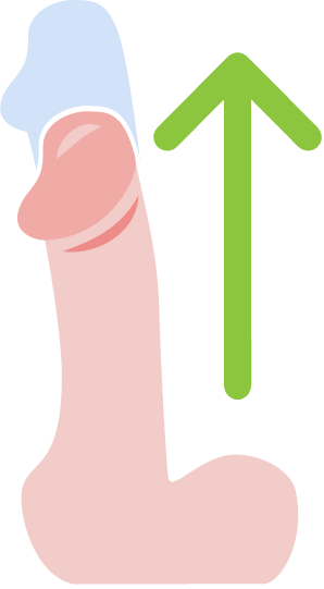 Natahovače penisu